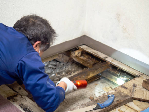 Best Commercial Mold Removal  in Sherwood, OR