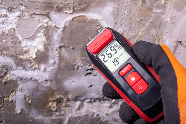 Best Attic Mold Removal  in Sherwood, OR